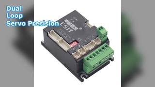 Dual-Loop-Servotreiber