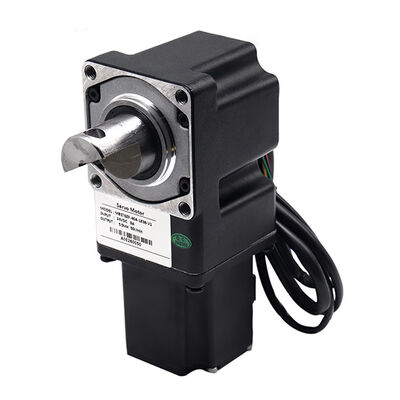 24V 40W 3A Drehkreuz-Bürstenloser Servomotor Niederspannungs-Bürstenloser Motor für Zugangstore